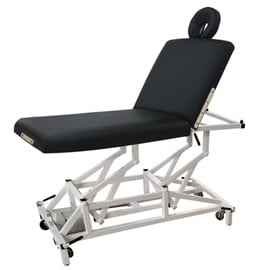 mckenzie lift back electric table