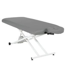 pro basic electric table